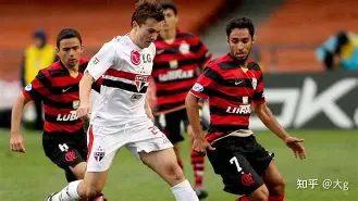 IM电竞游戏平台-fpx打野milkway